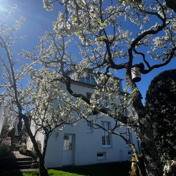 Gemütlich wohnen über Besigheim, khách sạn ở Besigheim