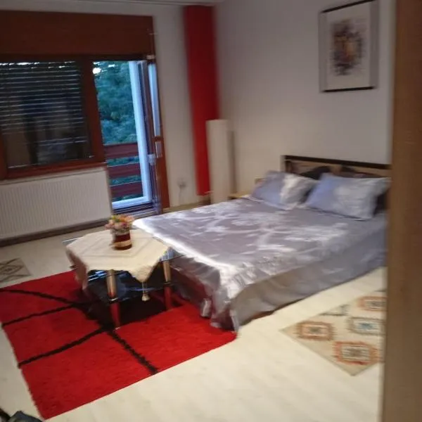 Apartament cu 2 dormitoare și terasa Valentin, Iulius Mall, ξενοδοχείο στην Τιμισοάρα
