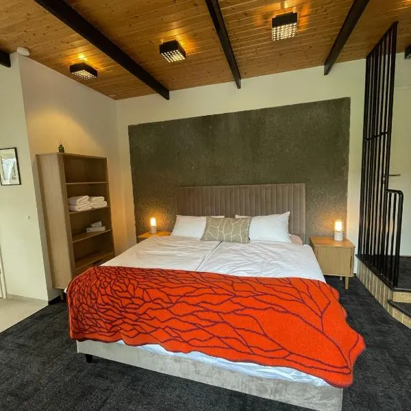 Amma Jóna rooms, hotel in Ásólfsskáli