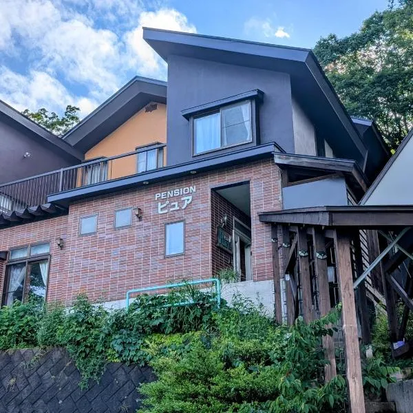 Pension Pure, Hotel in Iiyama