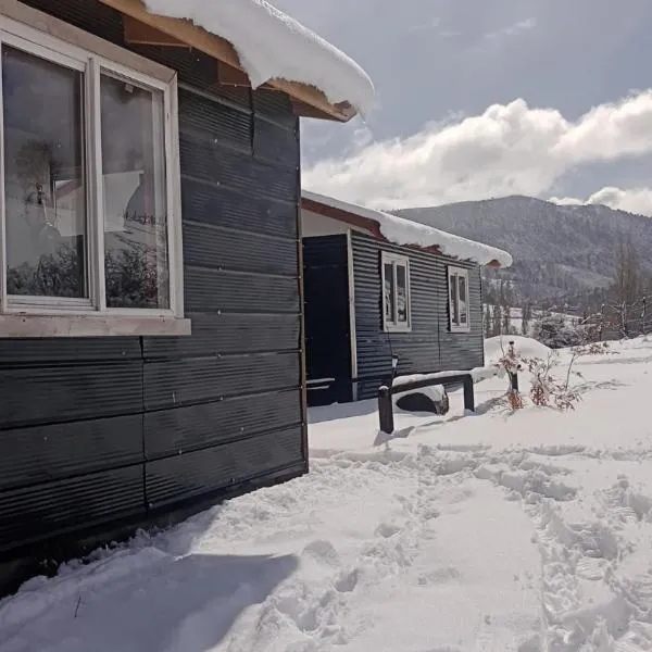 Cabañas Aliwen Lonquimay, hotel in Lonquimay