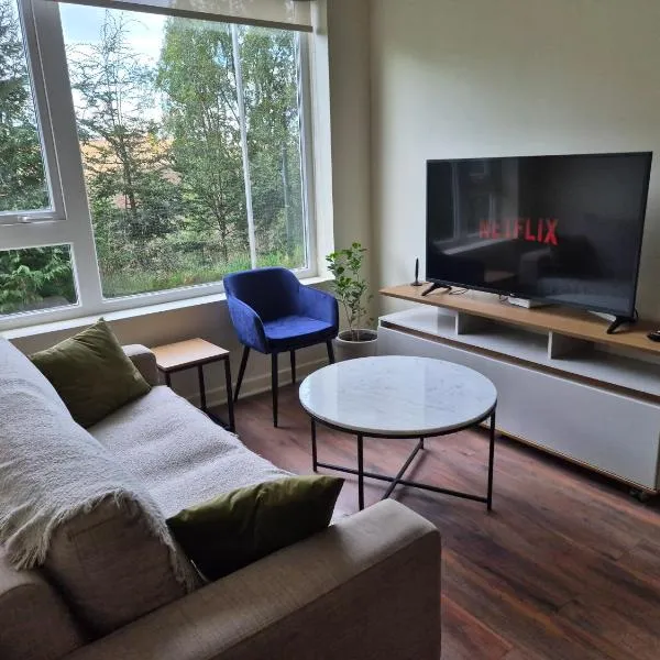 Cómodo y acogedor departamento, hotel a Osorno