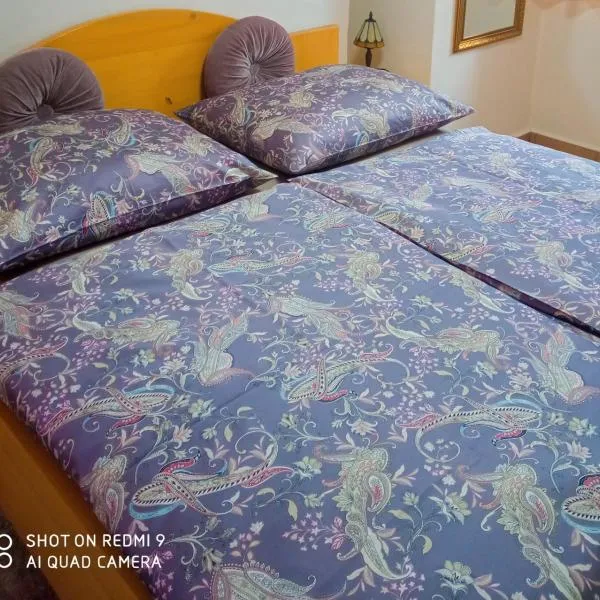 Pension Fanlor, hotel em Zubčická Lhotka