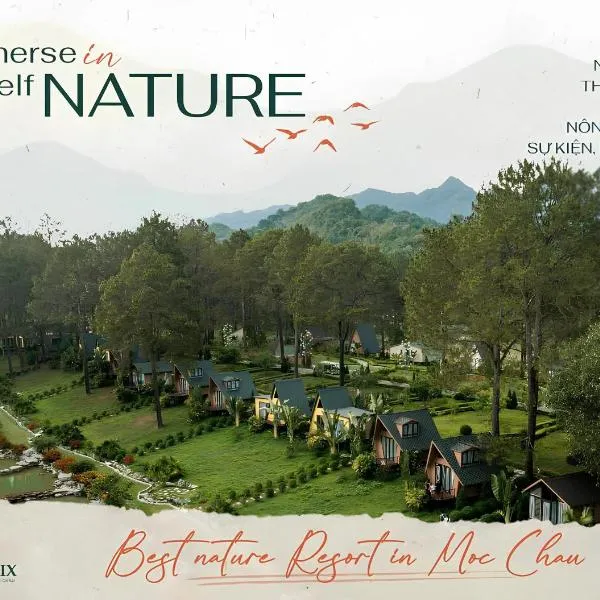 Phoenix Mộc Châu Resort, hotel in Mộc Châu