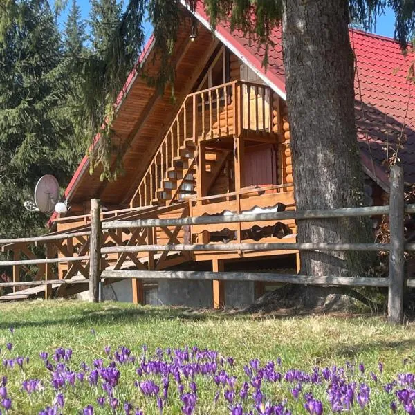Садиба Урочище Луг, hotel u gradu 'Vorokhta'