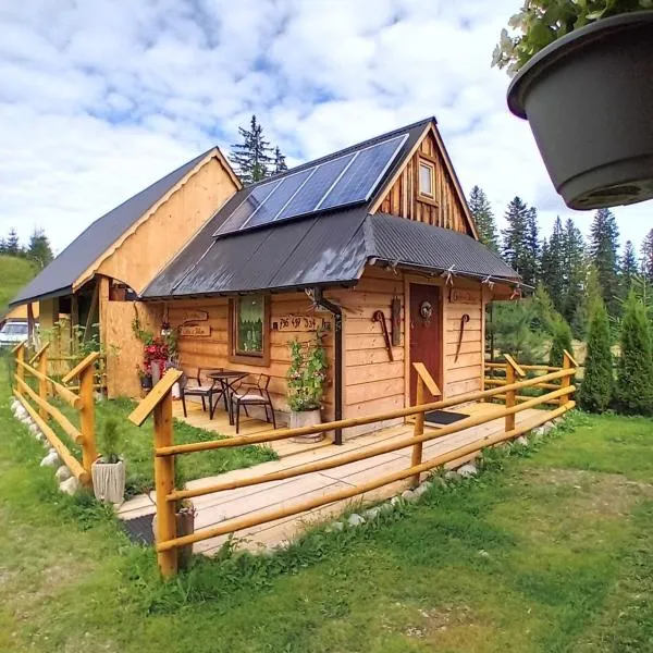 Chatka w Dolinie, hotel v destinaci Witów
