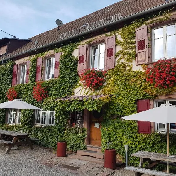 Hôtel du Haut Koenigsbourg- entre vignes et château, hotel di Thannenkirch