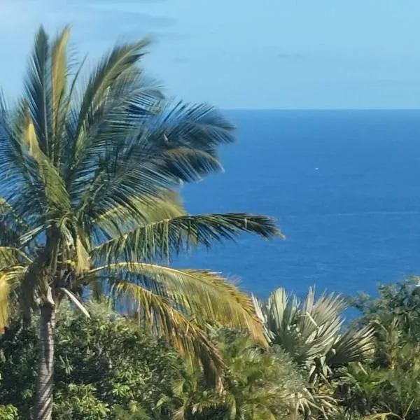 Ylang Ylang, hotel v destinaci Saint-Leu