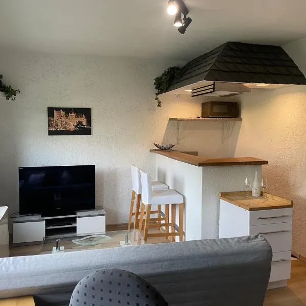 Haus Ehrenfels, Hotel in Bingen am Rhein