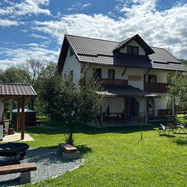 Cabana Umbra Brazilor, hotell sihtkohas Vişeu de Jos