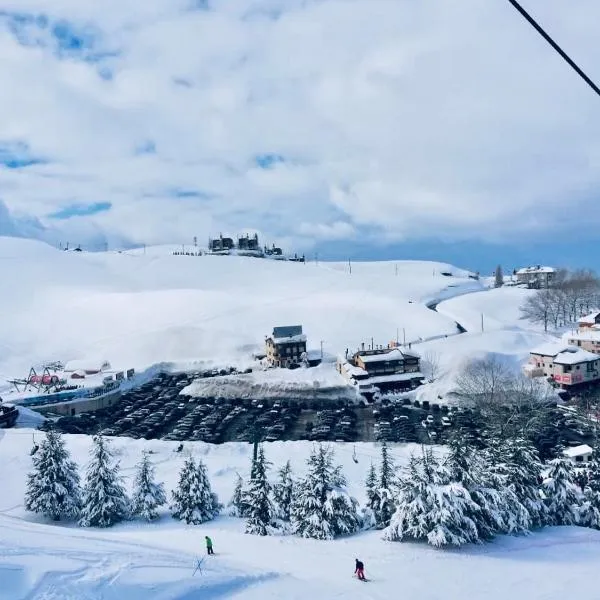 Austria Mzaar Chalets & Services, Hotel in Kfardebian