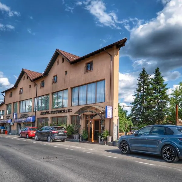Pensiunea Hanul Voievozilor, Hotel in Valea Voievoziilor