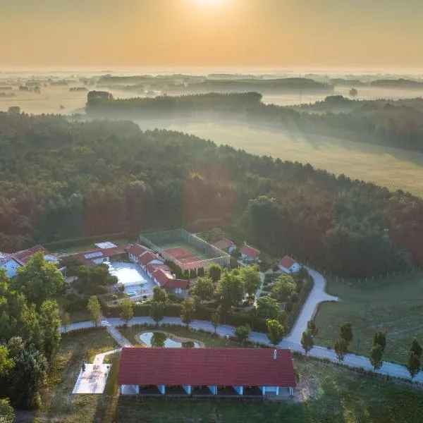 Csipkerózsa Parkhotel, Hotel in Csólyospálos