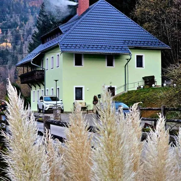 Villa Alpine Spirit โรงแรมในGösing an der Mariazeller Bahn