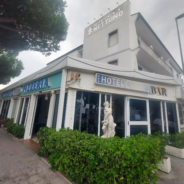 Hotel Nettuno, hôtel à Punta Marina