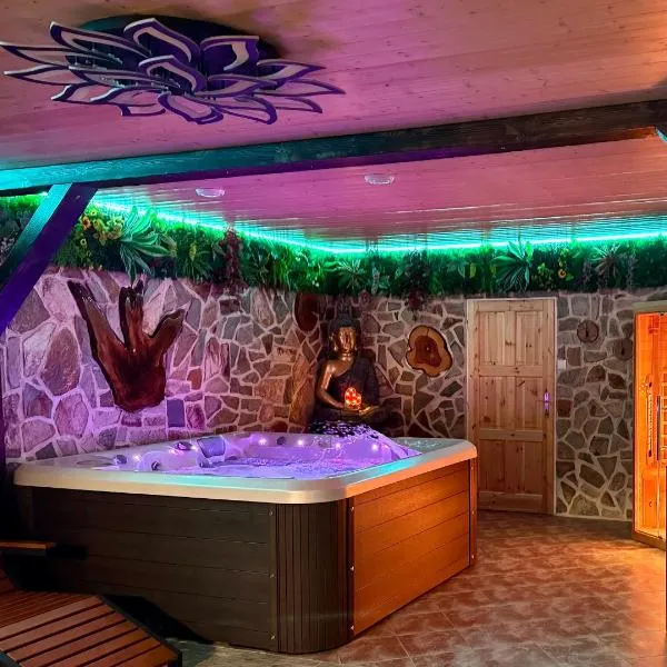 Wellness Apartment Medusa, hotel in Hamr na Jezeře