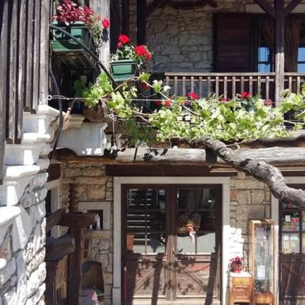 Milic Zagrski, hotell sihtkohas Rupinpíccolo