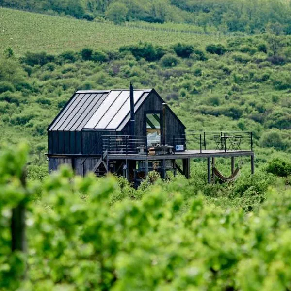 CAMPY ECO HOUSE • EGER, hotel in Egerszólát