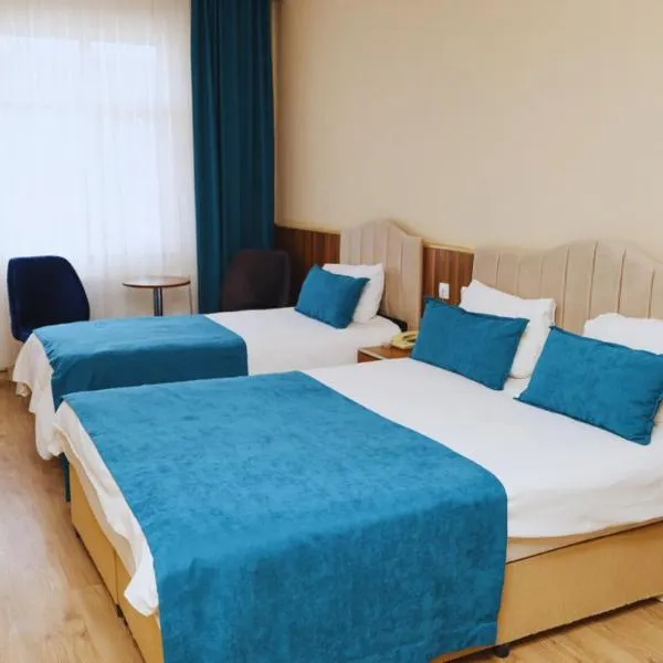 Havza Tuğra Otel, hotel em Havza