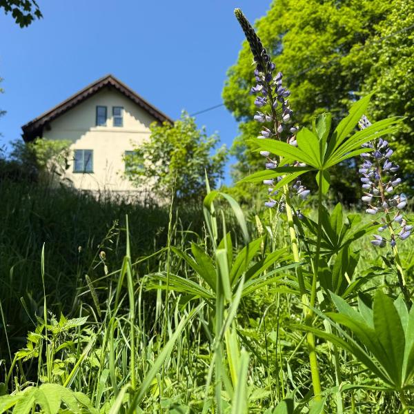 Stříbrná chaloupka Na Vyhlídce, Stříbrnice