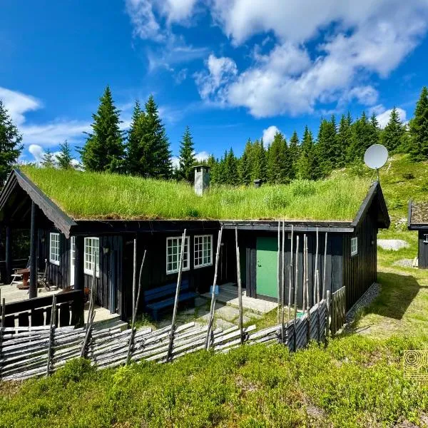 Cozy spacious cabin with sauna at Natrudstilen, hotel en Ringsaker