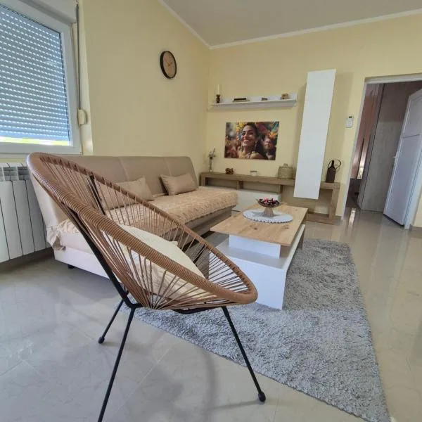 Rio Apartmani Ub, hotel em Ub