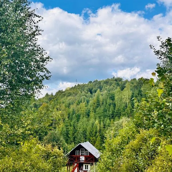 Medvidske, hotell sihtkohas Tukhlya