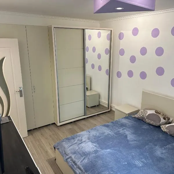 Garsoniera Cocheta, hotel in Râmnicu Vâlcea