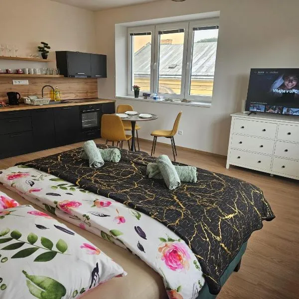 Úplne nový Apartmán Kvetinka v centre Žiliny, hotel in Žilina