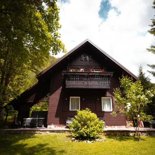 Chalet Lana with Hot Tub, hotel v destinaci Gozd Martuljek