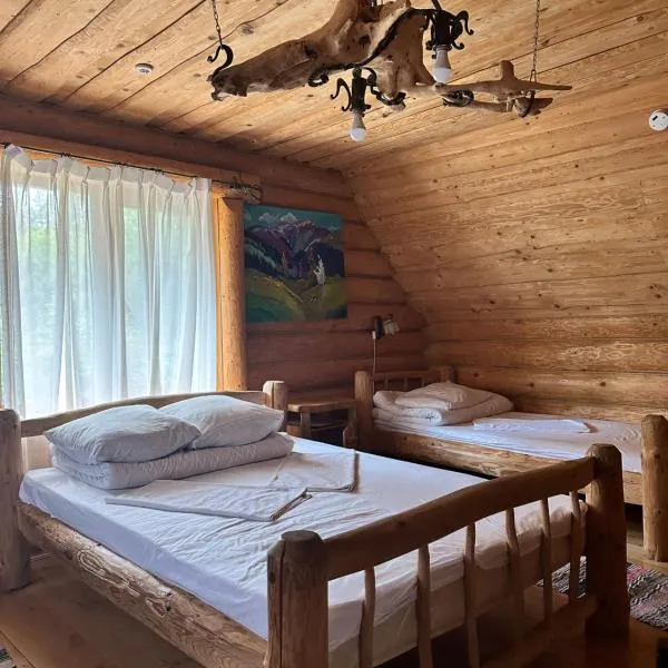 Будинок Художника Шипіт, Hotel in Pilipets