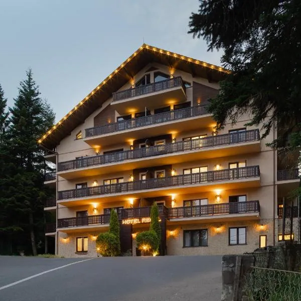 Hotel Regal, hotel v destinaci Sinaia