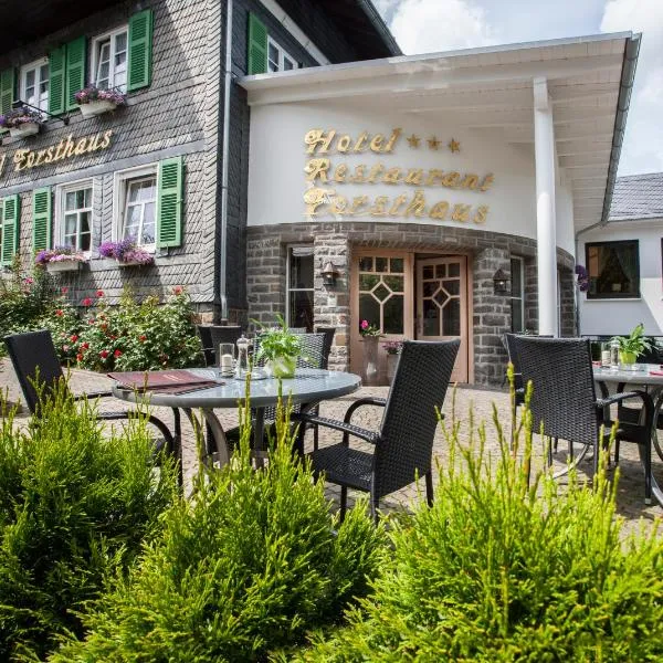 Hotel Forsthaus, hotel en Winterberg
