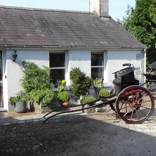 The Weaver's Cottage, Hotel in Dungannon