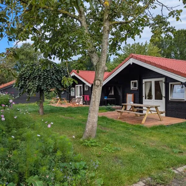 The Bee - Trekkershuts & Apartment, hôtel à Opperdoes