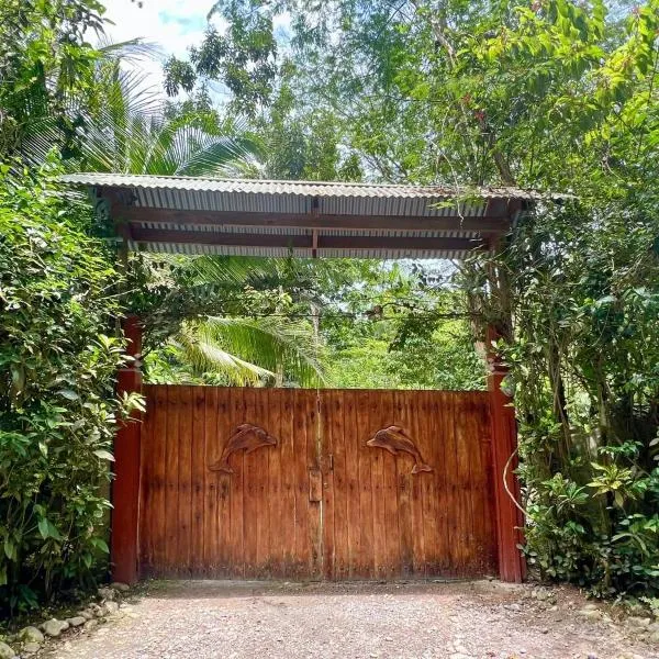 Los Delfines Lodge，位于别霍港的酒店