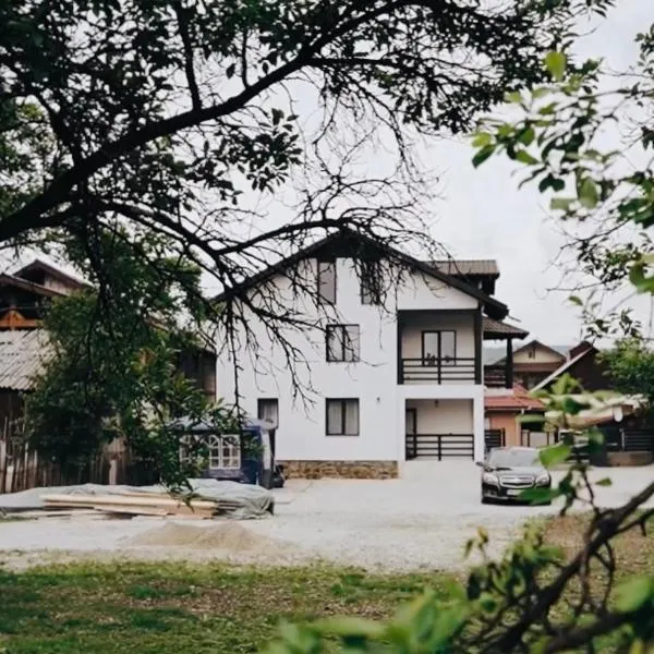 Casa Timiș, hotel in Vişeu de Sus