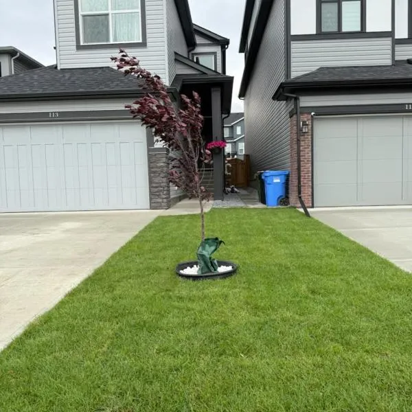 Super house, Hotel in Calgary