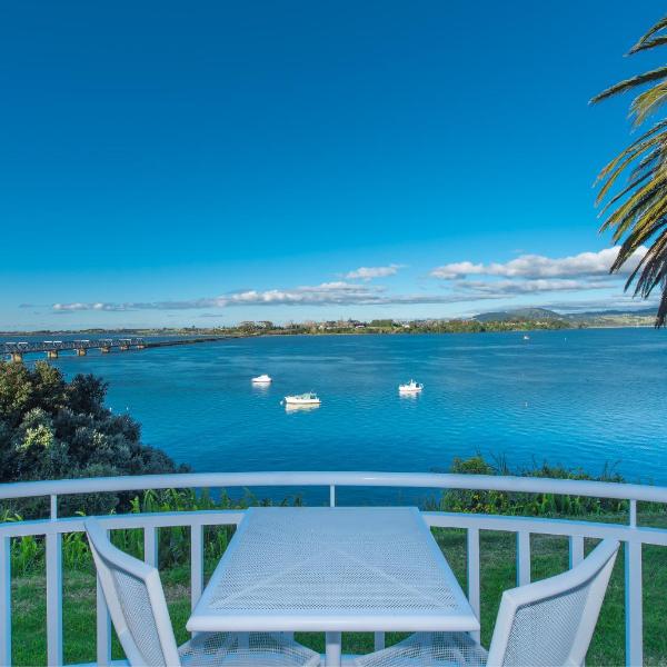 The Tauranga on the Waterfront