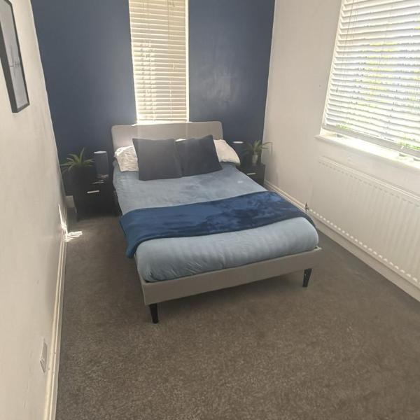 Spacious Guest House Thornton Road, London, London