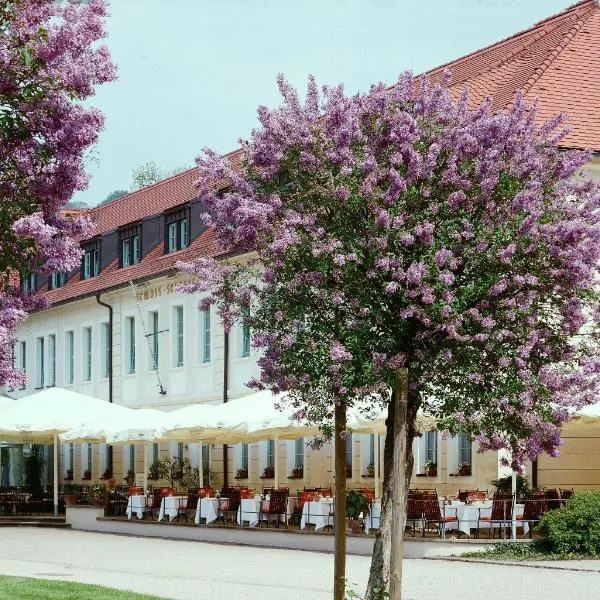 Schloss Hotel Dresden Pillnitz, hotel v Drážďanech