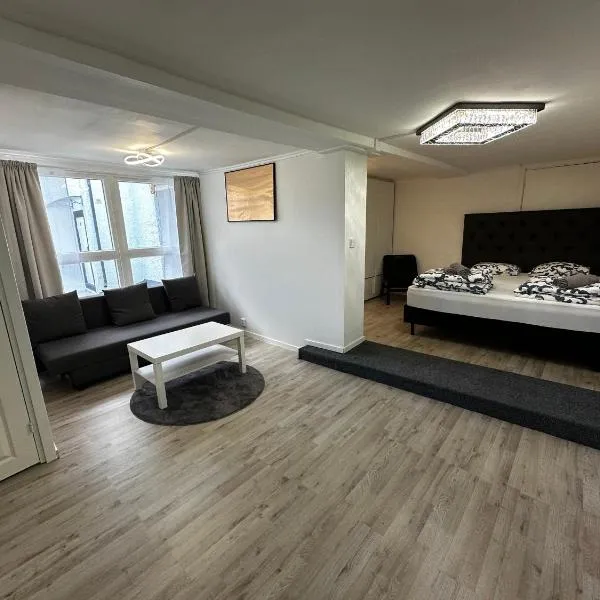 Luxurius flat in central Borås, hotel in Borås