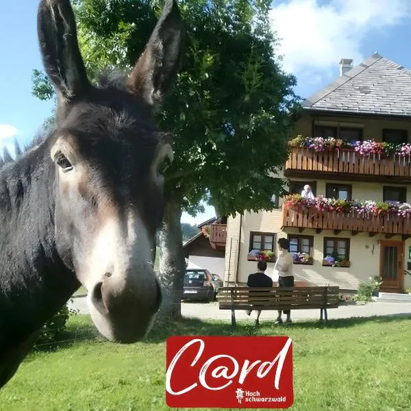 Sunmattehof, Hotel in Todtnau