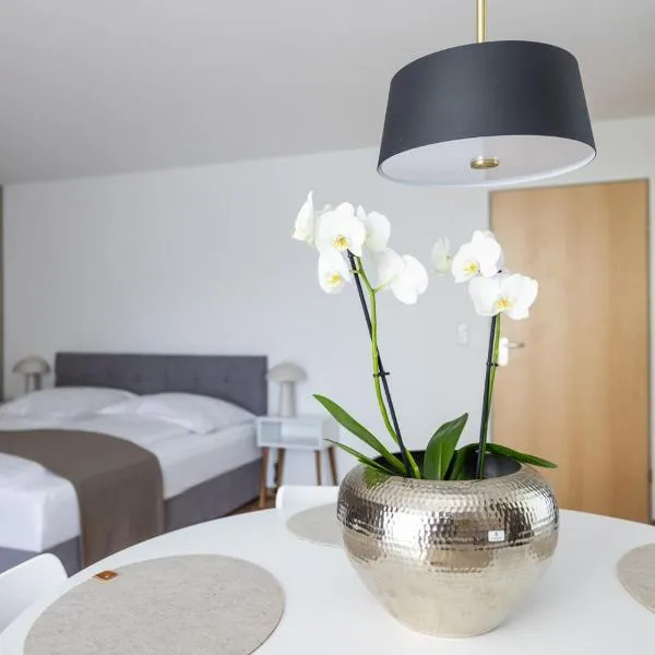 Dreisam Apartments, hôtel à Fribourg-en-Brisgau