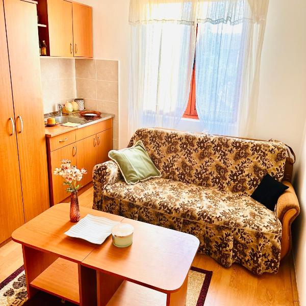 Apartman Aki, Vlasotince