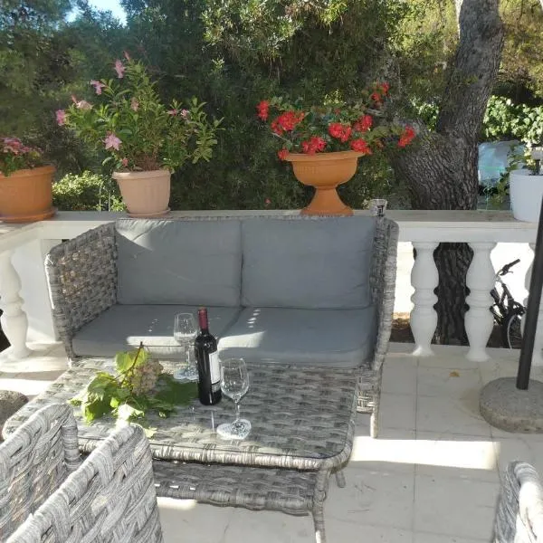 Two-room Apartment LIDIJA with terrace and parking, hotel Okrug Donjiban