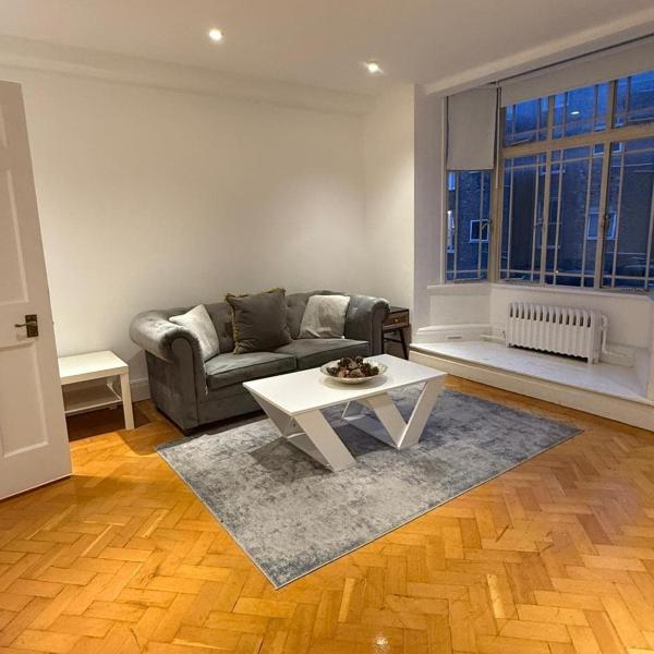 Lovely Apartment Great monthly stay, London