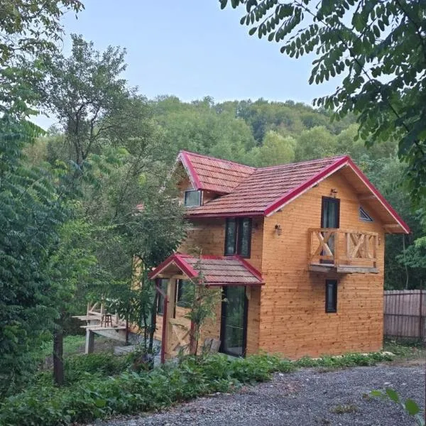CABANA panoramică din Maluri, hotel in Vişineşti