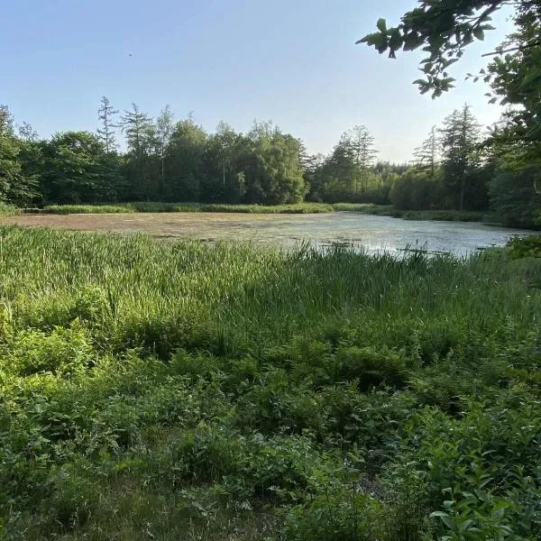 Købmandsgården i Blære, hotel in Års