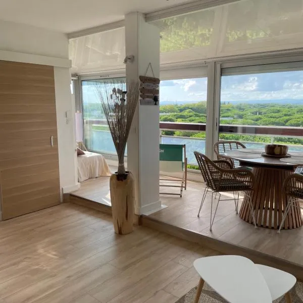 Vue panoramique pour ce grand studio en centre ville, Hotel in La Grande-Motte